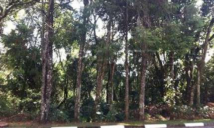 Terreno em condomínio fechado à venda na Rua Dom Pedro Ii, Serra da Cantareira, São Paulo