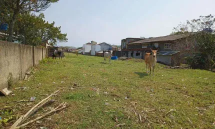 Terreno em condomínio fechado à venda na Est Anarolina S Santos, 10, Vargem do Bom Jesus, Florianópolis