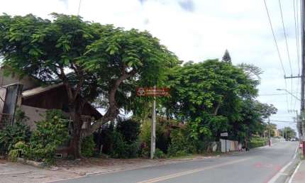 Terreno comercial à venda na Est Ver Onildo Lemos, 1107, Ingleses do Rio Vermelho, Florianópolis