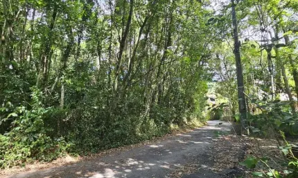 Terreno à venda na Rua Laurindo Januário da Silveira, 23, Canto da Lagoa, Florianópolis