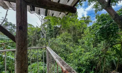 Casa com 4 quartos à venda na Travessa Ibiza, 120, Morro das Pedras, Florianópolis