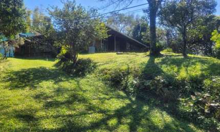 Terreno comercial para alugar na Rodovia Doutor Antônio Luiz Moura Gonzaga, 392, Rio Tavares, Florianópolis