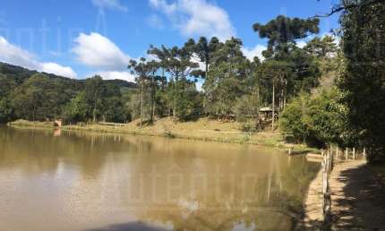 Chácara / sítio à venda na Estrada Pará, São Gotardo (Distrito), Flores da Cunha por R$ 6.000.000