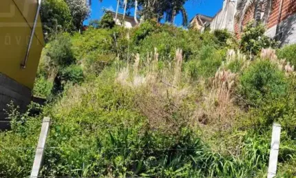 Terreno à venda na Rua Luiz de Almeida, São Caetano, Caxias do Sul