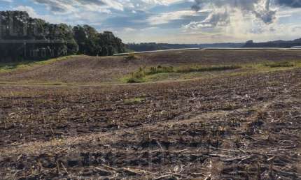 15,30 ha na Linha Palmeiro, Farroupilha - frente para Rod Vicinal Mato Perso a 2 km da ERS 122