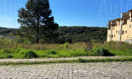 Terreno à venda na rua josé constant lazzari, s/n, cidade industrial, caxias do sul por r$ 145.000