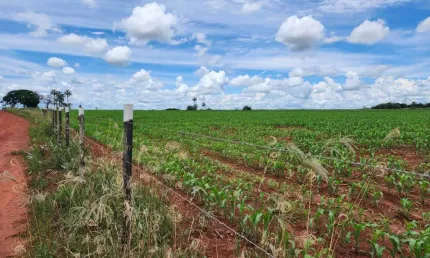 Chácara / sítio à venda na Área Rural, Área Rural de Artur Nogueira, Artur Nogueira