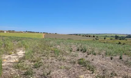 Chácara / sítio à venda na Zona Rural, Holambra 