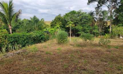 Terreno de chácara em condomínio com mata e córrego em Artur Nogueira - SP