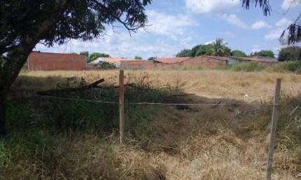 Chácara / sítio à venda na Área Rural, Área Rural de Artur Nogueira, Artur Nogueira