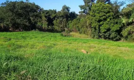 Chácara / sítio à venda na Área Rural, Área Rural de Artur Nogueira, Artur Nogueira