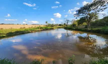 Chácara / sítio com 5 quartos à venda na Área Rural, Área Rural de Artur Nogueira, Artur Nogueira