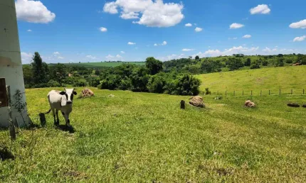 Sítio com poço e caixa d&amp;apos;água em Artur Nogueira