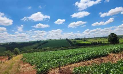 Chácara / sítio à venda na Área Rural, Área Rural de Artur Nogueira, Artur Nogueira