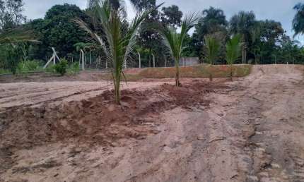 Chácara / sítio à venda na Área Rural, Bairrinho, Artur Nogueira