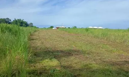 Chácara / sítio à venda na Área Rural, Área Rural de Cosmópolis, Cosmópolis