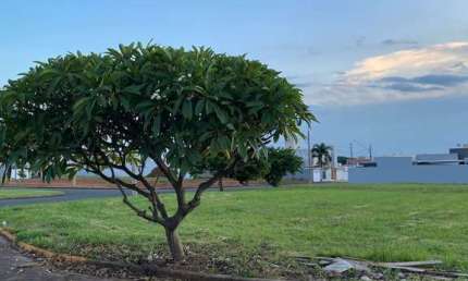 Terreno comercial, de esquina entre o bairro Nova Artur / Rota das Flores