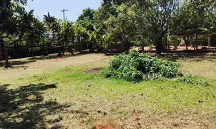 Chácara / sítio à venda na Área Rural, Área Rural de Artur Nogueira, Artur Nogueira