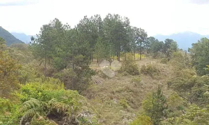 Terreno à venda, 1690000 m² por R$ 25.000.000,00 - • Itaipava - Petrópolis/RJ
