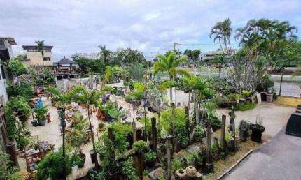 Terreno à venda, 3000 m² por R$ 25.000.000,00 - Recreio dos Bandeirantes - Rio de Janeiro/RJ