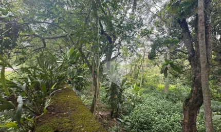 Terreno à venda na Estrada do Rio Morto, --, Vargem Grande, Rio de Janeiro