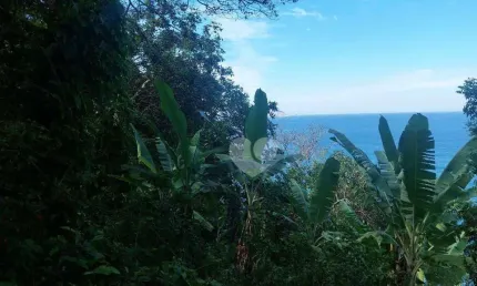 Terreno à venda, 6000 m² por R$ 3.000.000,00 - São Conrado - Rio de Janeiro/RJ