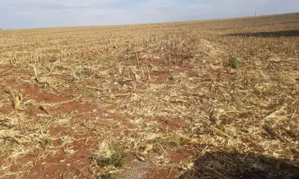 Fazenda para venda em tuneiras do oeste, bairro ouro verde