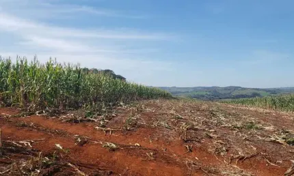Fazenda à venda na Zona Rural, Iretama 