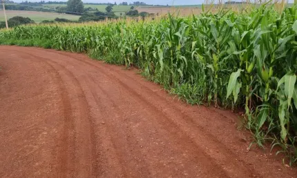 Chácara / sítio à venda na São Vicente, São Vicente, Araruna