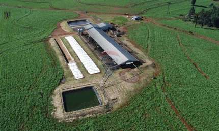 Fazenda à venda no Centro, Guaraniaçu 