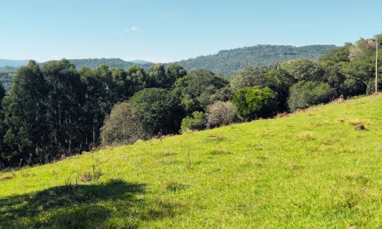 Chácara com 10.000 m² entre Três Coroas e São Francisco de Paula  Apenas 300 metros da ERS-020