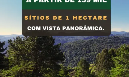 Chácara / sítio à venda na Estrada Da Amizade, Zona Rural, Três Coroas