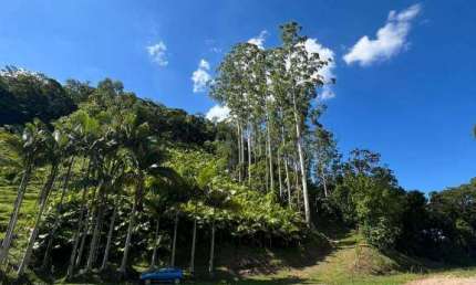 Terreno à venda na Rua Pomerânia, Pomerode Fundos, Pomerode, 17158 m2 por R$ 490.000