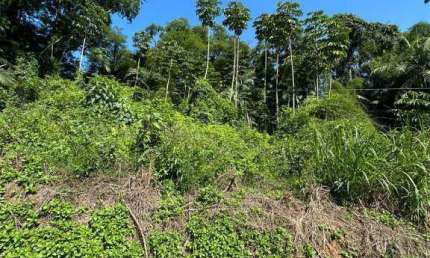 Terreno à venda na Rua Willy Butzke, Ribeirão Areia, Pomerode, 875 m2 por R$ 190.000
