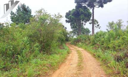 Chácara / sítio à venda na Rua Leonardo Muchau, Espigão das Antas, Mandirituba, 16000 m2 por R$ 150.000