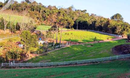 Chácara / sítio com 3 quartos à venda no Centro, Quitandinha , 30000 m2 por R$ 520.000