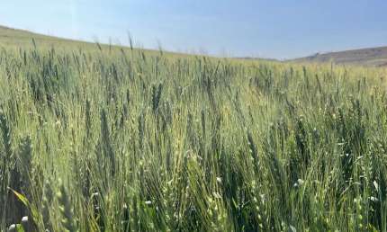 Chácara / sítio à venda na Zona Rural, Fartura  por R$ 20.800.000