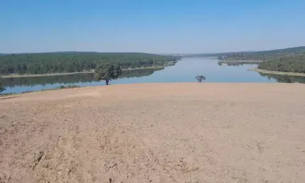 Chácara / sítio à venda na Zona Rural, Paranapanema  por R$ 20.000.000