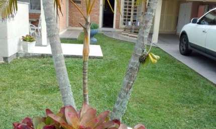 Casa com 3 quartos à venda no Mar Grosso, Laguna  por R$ 870.000