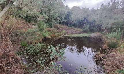 Chácara / sítio com 2 quartos à venda na Rodovia Pr 281 Km, SEM, Tabatinga, Tijucas do Sul, 33000 m2 por R$ 580.000