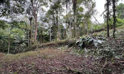 Terreno à venda no Wunderwald, Pomerode , 14894 m2 por R$ 250.000