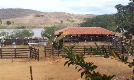 Fazenda à venda em araçuaí - mg, com 144 hectares, acesso pela rodovia br 342 e grande espectro de atividade