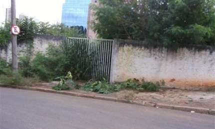 Terreno a venda na Nova Campinas com vista pra Norte Sul ,  leve declive com 15 metros de frente .