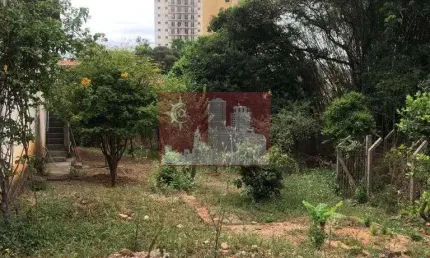 Terreno à venda na Rua Igapira, Santana, São Paulo