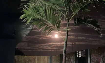 Casa com 4 quartos à venda na Rodovia Doutor Antônio Luiz Moura Gonzaga, --, Rio Tavares, Florianópolis