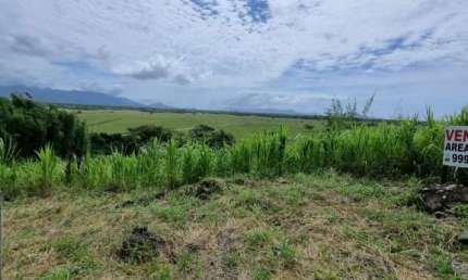 Fazenda à venda na Simeão Bernardino Leal, --, Riberão, Paulo Lopes