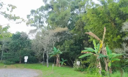 Terreno em condomínio fechado à venda na Rodovia Doutor Antônio Luiz Moura Gonzaga, --, Rio Tavares, Florianópolis