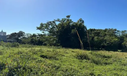Terreno à venda na Da Fazenda, --, Ribeirão da Ilha, Florianópolis