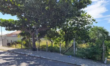 Terreno à venda na Rua João de Barro, --, Serraria, São José