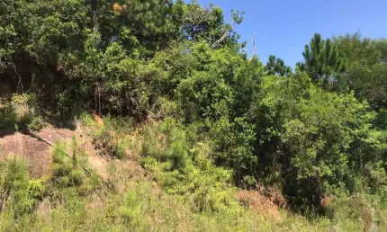 Terreno à venda na Rodovia Admar Gonzaga, --, Itacorubi, Florianópolis